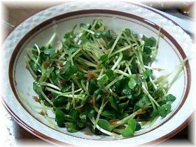 簡単★かいわれのおかか和え