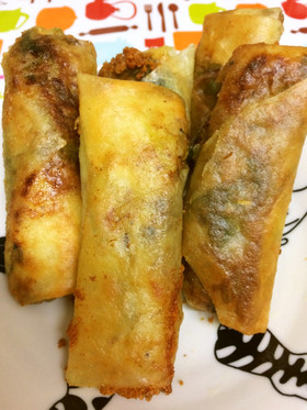鯖缶の汁ごとミニ春巻カレー味