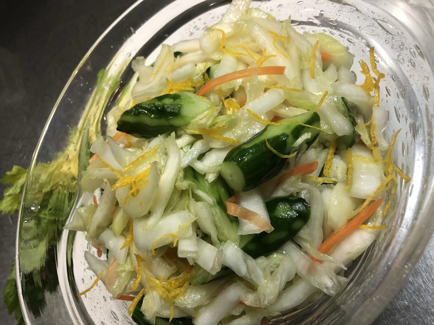 冬のサラダ　～白菜・柚子～の画像