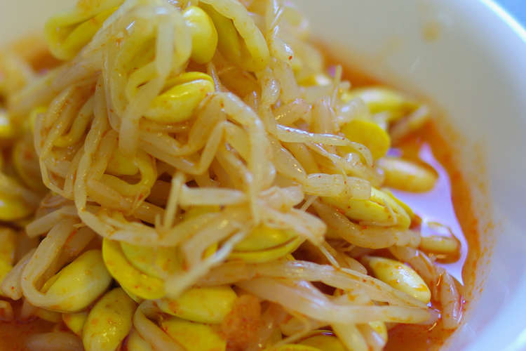 ピリ辛 味付き豆もやし レシピ 作り方 By Jay J クックパッド 簡単おいしいみんなのレシピが355万品