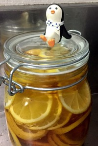 台所ペンギンのハチミツ漬けレモン
