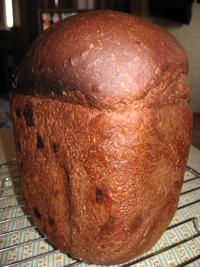 板チョコ＆ココア食パン（ＨＢ使用）の写真