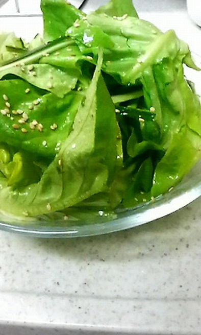 サラダ菜のシンプルサラダの写真