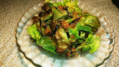 【男飯】梅と海苔のサラダ【南高梅】の写真