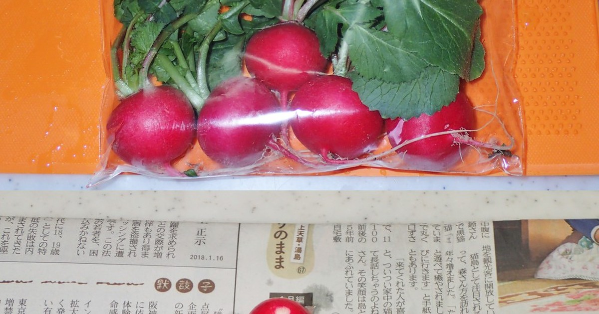 ラディッシュの保存方法 レシピ 作り方 By 父さんの料理 クックパッド 簡単おいしいみんなのレシピが356万品