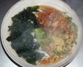 おろし&わかめ&天ぷらうどん