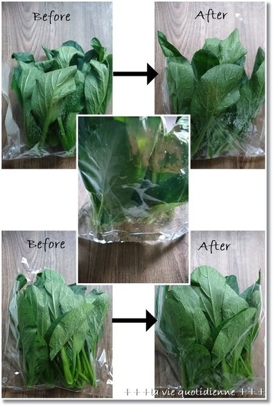 葉物野菜の簡単な復活（保存）方法！の写真