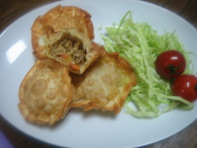 餃子の皮でサモサ♪