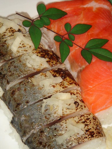 棒寿司風の鯖&鮭寿司の写真