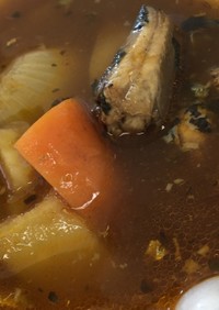 血液サラサラ釧路イワシのスープカレー