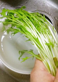 水菜の洗い方♡(❊´︶`❊)｡۞·: