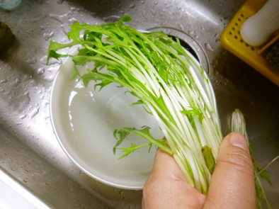 水菜の洗い方♡(❊´︶`❊)｡۞·:の写真