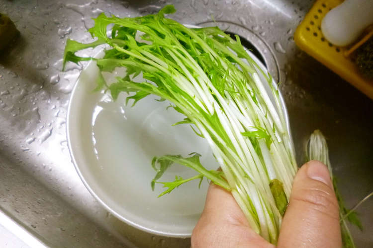 水菜の洗い方 レシピ 作り方 By なあなクック クックパッド 簡単おいしいみんなのレシピが361万品