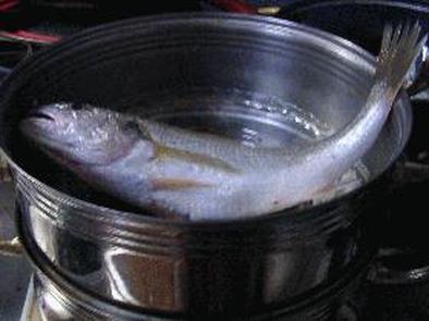 蒸し魚の広島菜ソースかけの写真