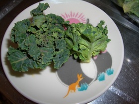 春の味覚☆プチヴェールの天ぷら