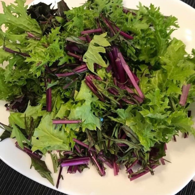 からし菜とわさび菜のサラダ レシピ 作り方 By ことのはファーム クックパッド 簡単おいしいみんなのレシピが355万品