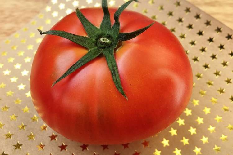 もう迷わない おいしいトマトの見分け方 レシピ 作り方 By あさコロモ クックパッド 簡単おいしいみんなのレシピが358万品