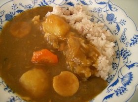 おさかなカレー