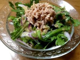 春菊と紫玉ねぎのシーチキンサラダ♪