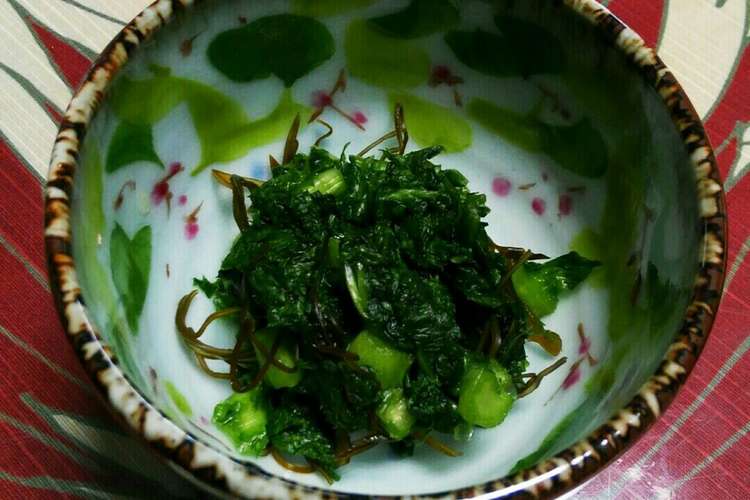 からし菜の簡単浅漬け レシピ 作り方 By キッチン 福にゃん クックパッド 簡単おいしいみんなのレシピが351万品