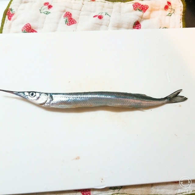 さよりの腹開き おろし方 レシピ 作り方 By ちぇるこ クックパッド