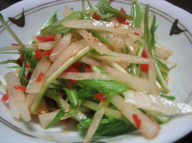 カリカリ梅で☆大根と水菜の彩りサラダの写真