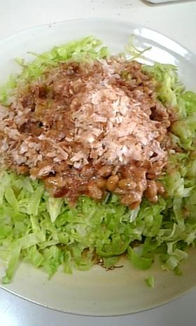 5分でできる!キャベツの納豆サラダ