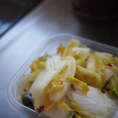 【無添加】白菜の浅漬けの写真