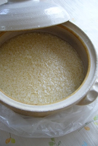 米麹の甘酒（電気ソフトあんか）：レオン亭