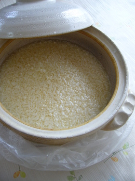 米麹の甘酒(電気ソフトあんか):レオン亭
