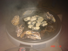 うまうまっ♪牡蠣の昆布焼き