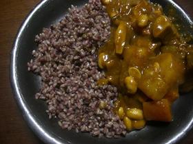 冷蔵庫のおそうじカレー