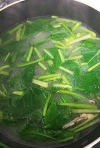 小松菜の味噌汁★煮干しでカルシウム摂取