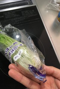 水菜の袋で保存の仕方