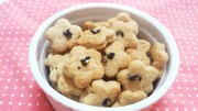 離乳食おやつ*HMのきな粉クッキーの写真