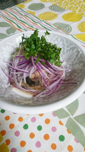 サバ缶✧ブロッコリースプラウト食べよ✧