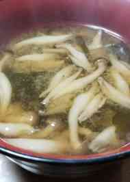 みんなが作ってる ひらたけ みそ汁のレシピ クックパッド 簡単おいしいみんなのレシピが356万品