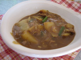 ~。:*白菜で美味しいカレー*:。~