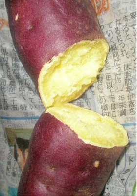 新聞紙 de ♪簡単に焼き芋♪ができます