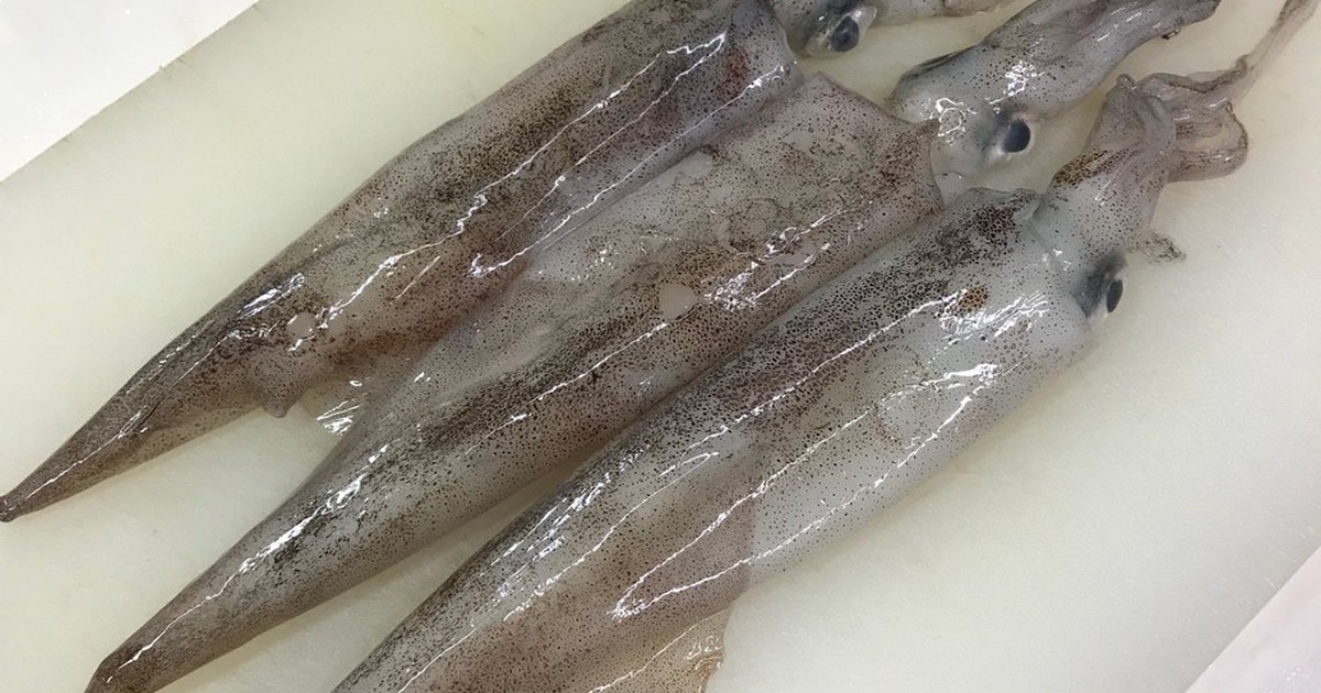 簡単 やりいかのさばき方 レシピ 作り方 By Dentack クックパッド 簡単おいしいみんなのレシピが371万品