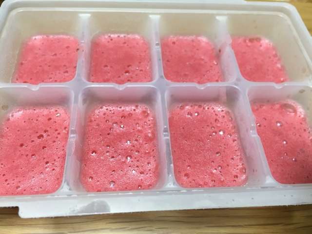 いちご 離乳食 ビデオ 日本の無料ブログ