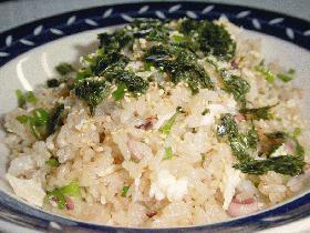 塩辛チャーハン