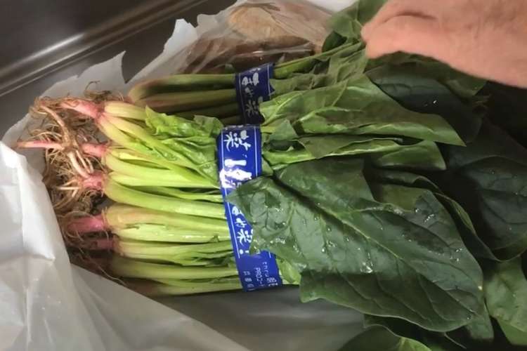 葉野菜を長期間新鮮なまま保存する方法 レシピ 作り方 By Tujidesu クックパッド 簡単おいしいみんなのレシピが350万品