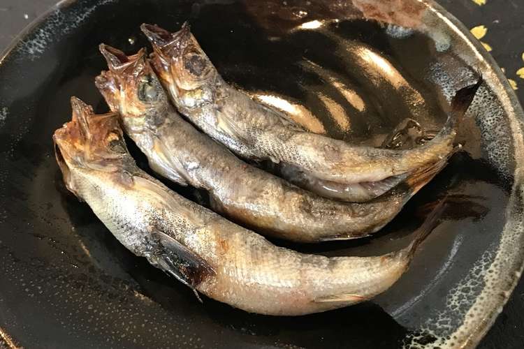 脂のりのり 自家製干物めひかりの丸干し レシピ 作り方 By Dentack クックパッド 簡単おいしいみんなのレシピが356万品