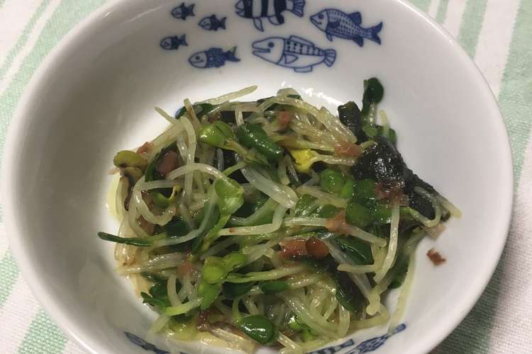 かいわれ大根のお浸しサラダ レシピ 作り方 By Amherst Ma クックパッド