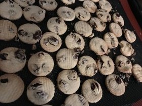 小麦粉不使用サクサクのおからクッキー