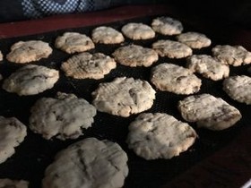 生おから&大麦クッキー(小麦粉不使用)
