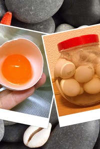 塩水に浸けニワトリタマゴ(塩漬け卵)