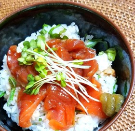 サーモン漬け丼