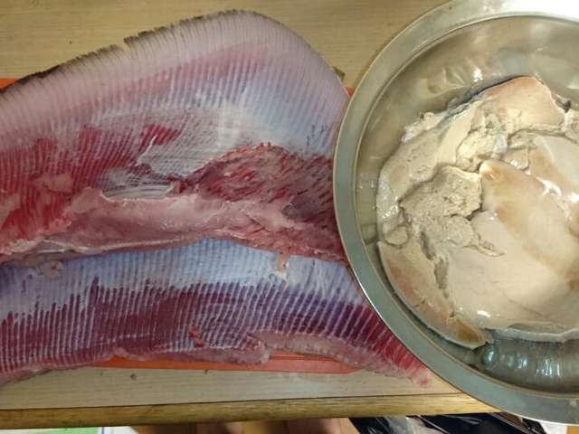 驚くばかりエイ肝 危険 すべての魚の画像